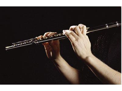 招聘吕梁长笛家教老师